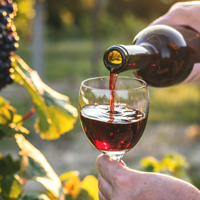Vin rouge dans le vignoble de Châtillon en Diois