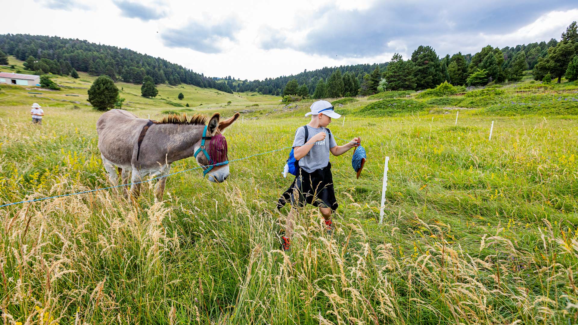 Enfant en train de faire un parc pour un âne dans le Vercors