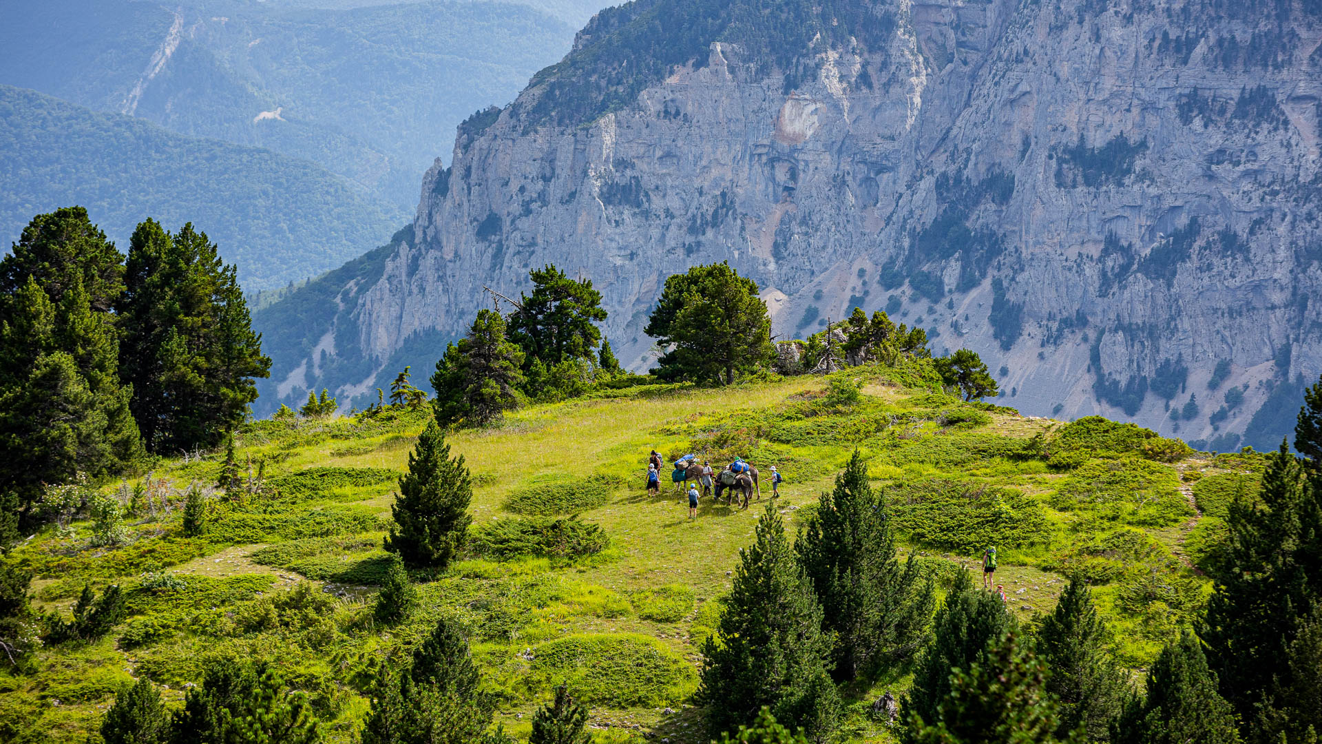 Petit groupe avec des ânes dans le Vercors