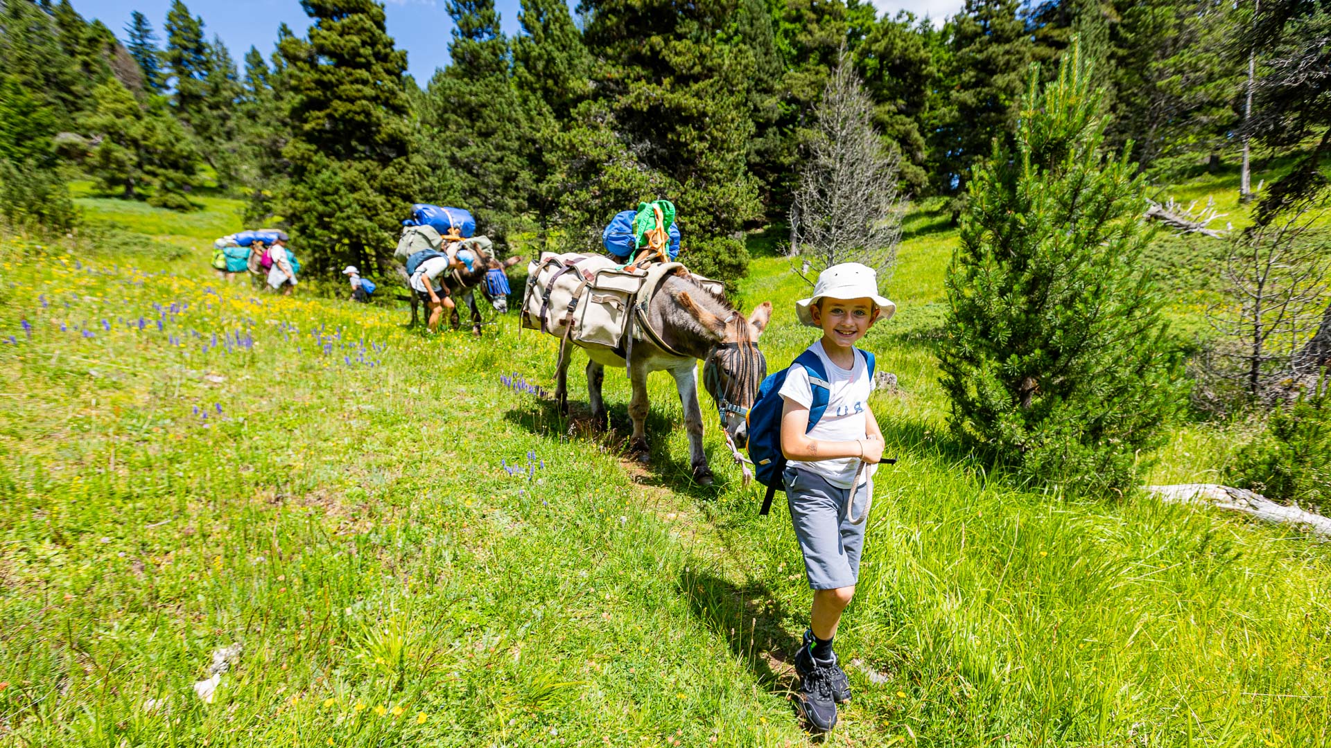 Un enfant content menant un âne dans le Vercors