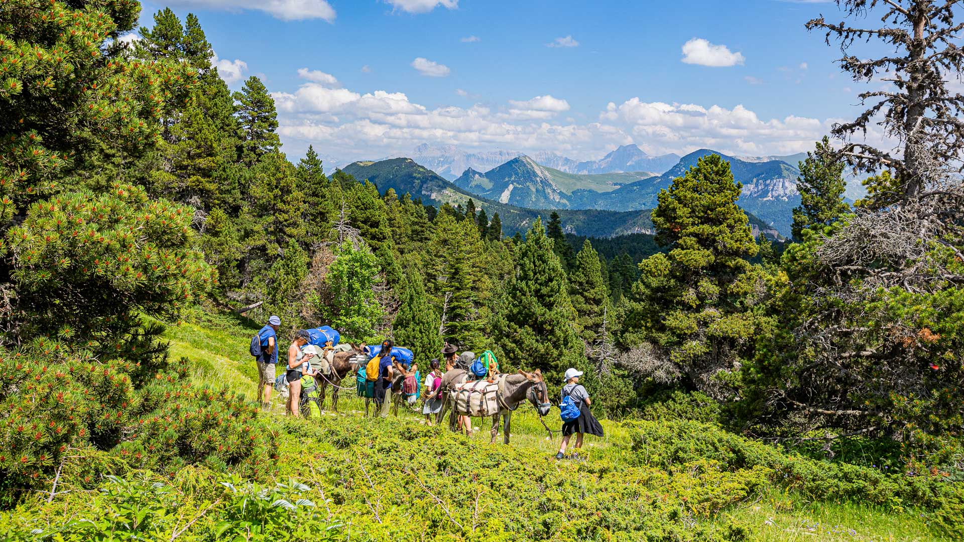 groupe de marcheurs et leurs ânes dans le Vercors