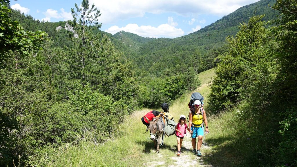 Randonnée avec un âne dans la Drôme