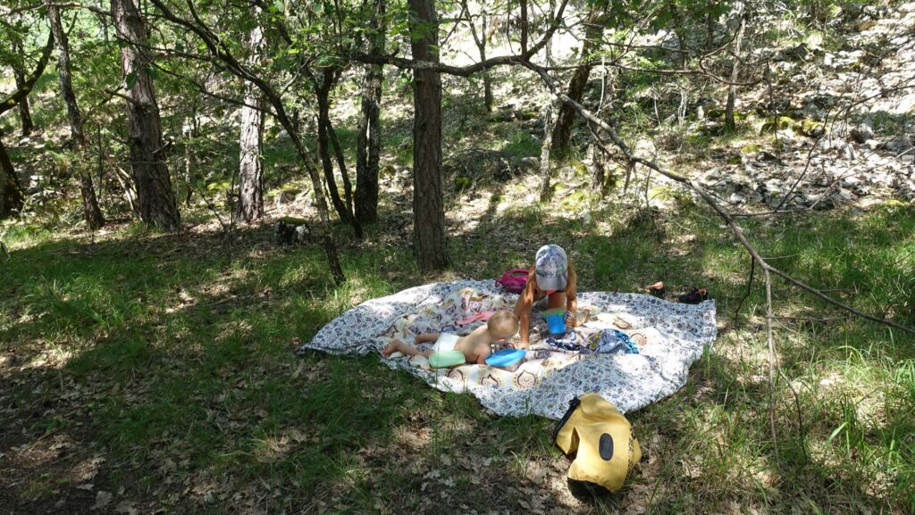 pause pique-nique à l'ombre de la forêt