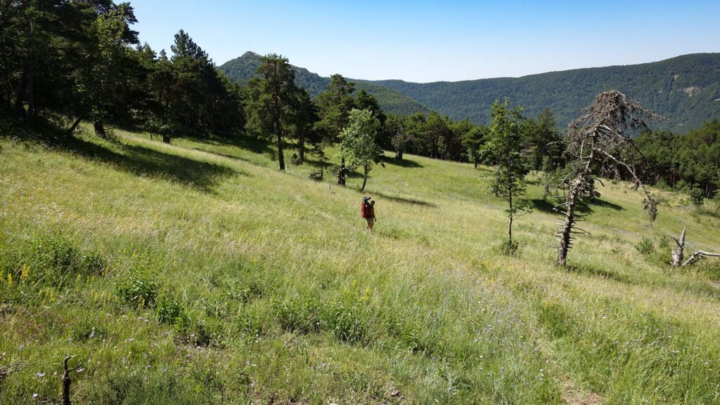 Sur le chemin entre Le Pilhon et le col de Cabre dans le Haut Diois