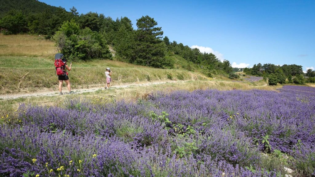 Randonnée sur les chemins de la lavande dans le Haut Diois