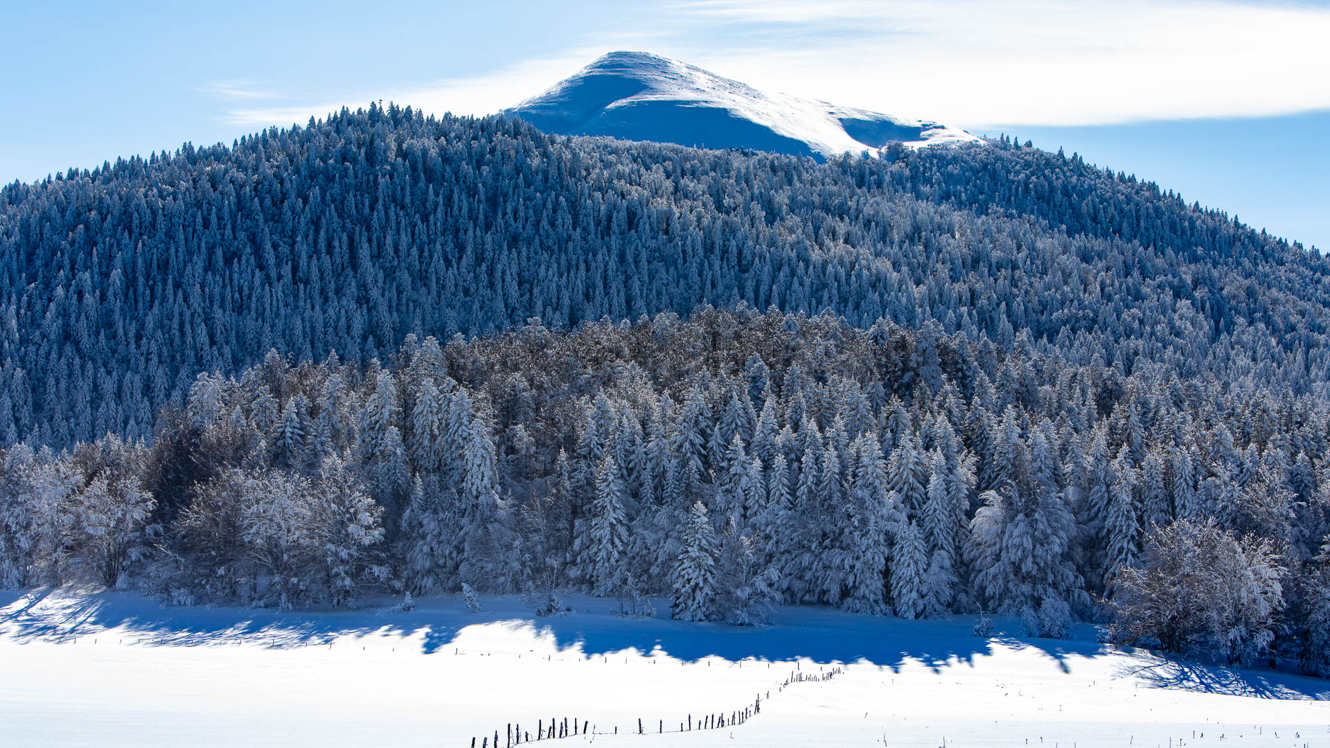 Montagne et forêt de Lente dans le Vercors