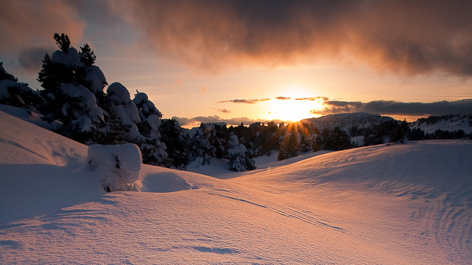 Sur le plateau du Vercors au soleil couchant en hiver