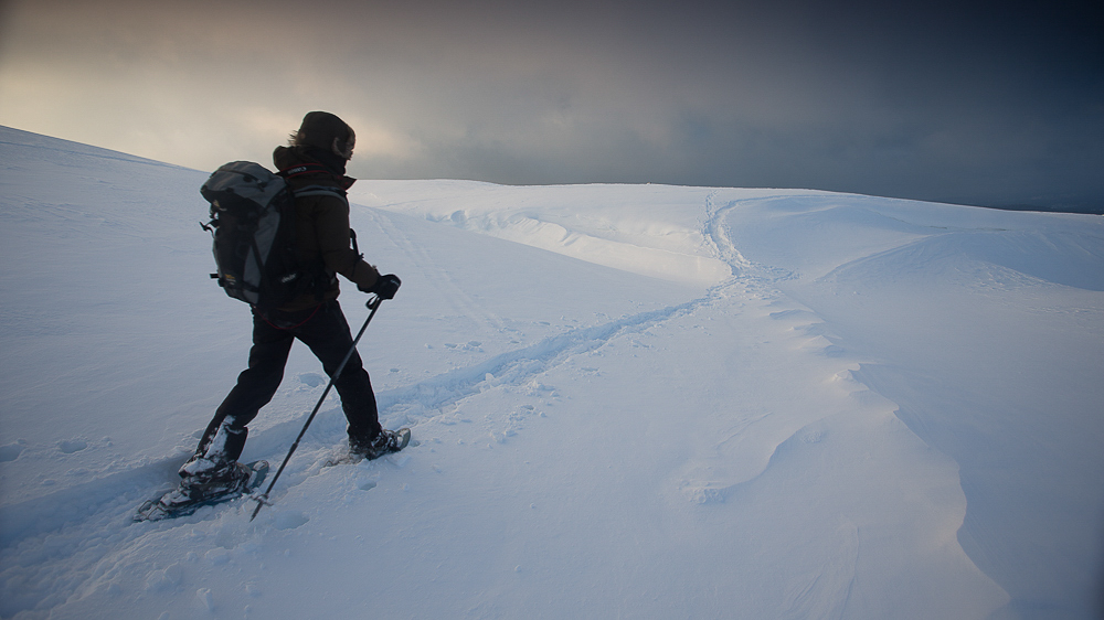 raquettes dans le Vercors