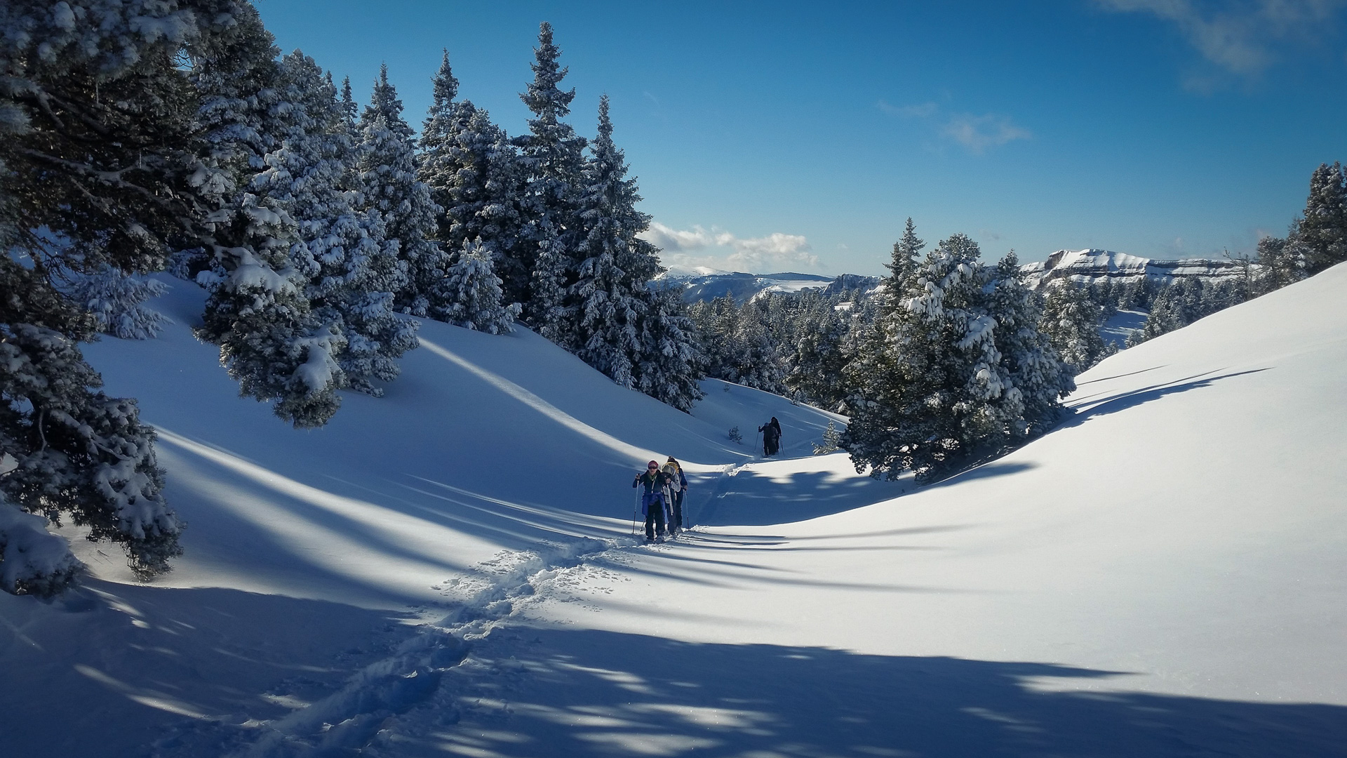 dans les jolies combes enneigées des Hauts Plateaux du Vercors