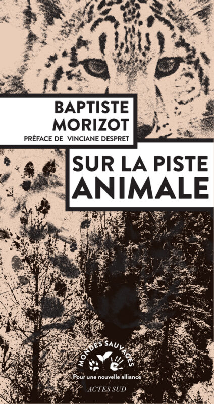 couverture du livre Sur la piste animale de Baptiste Morizot