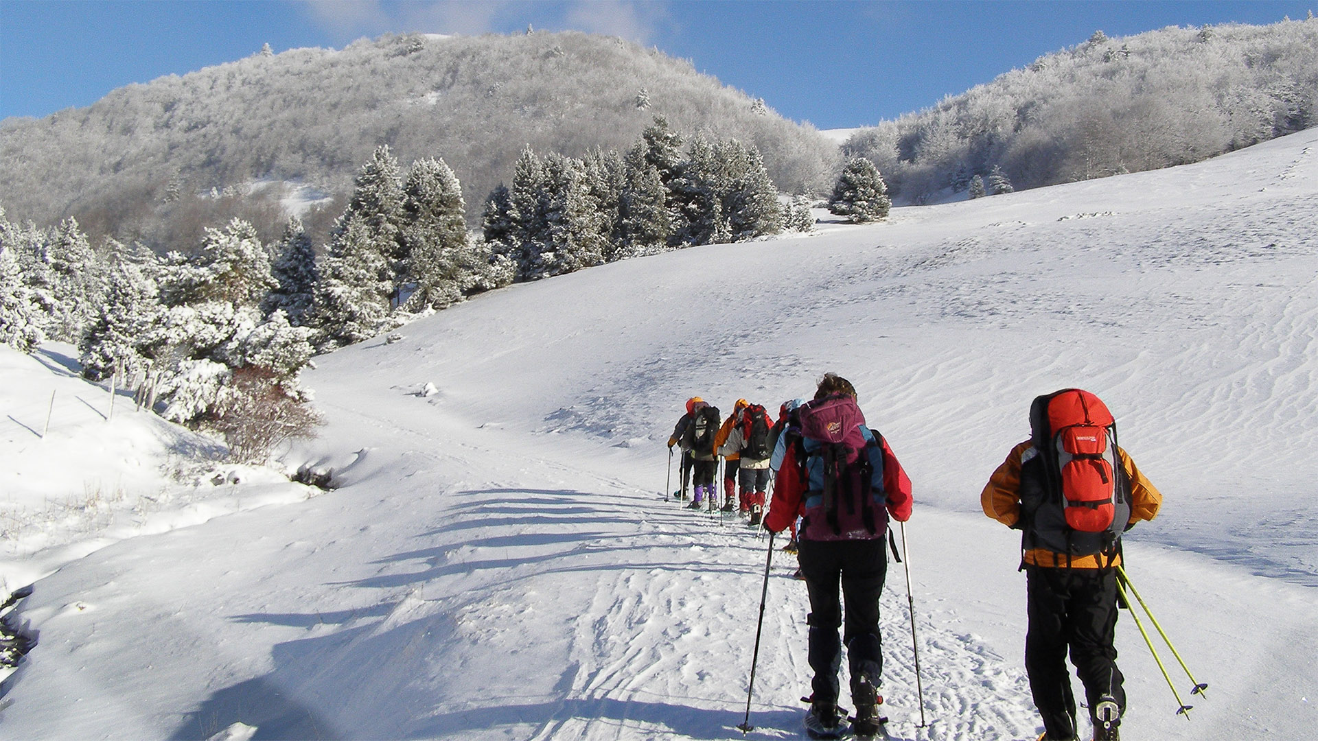 groupe en raquette dans le Vercors