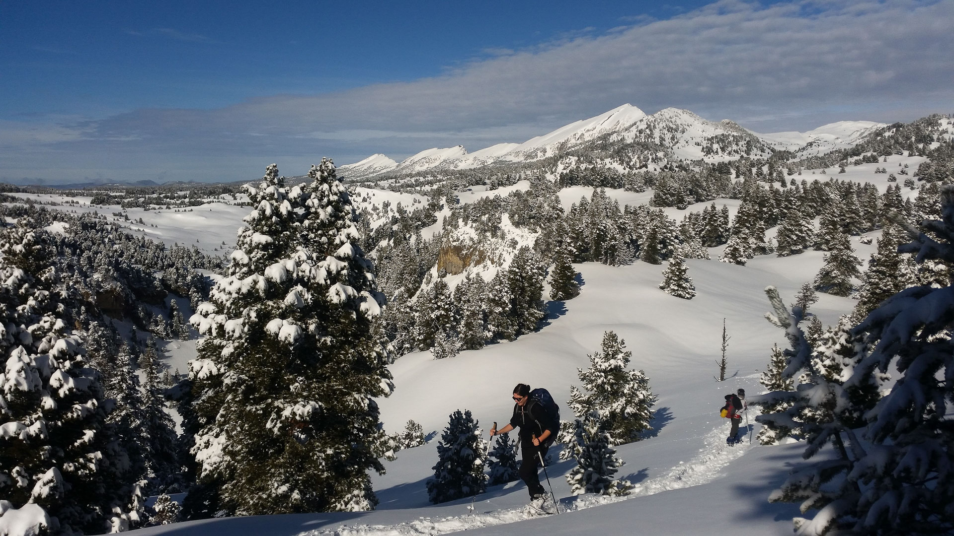 Raquettes dans la Réserve des Hauts-Plateaux du Vercors