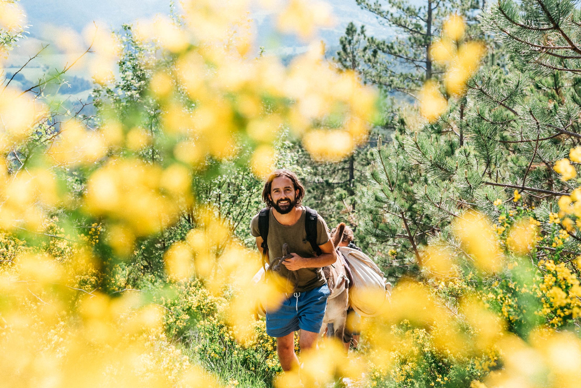 Rando en Drôme Provençale avec un âne