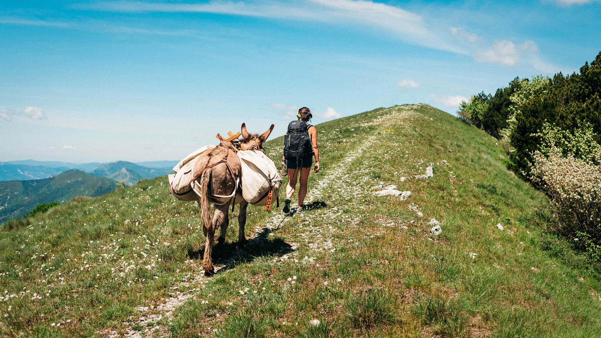 rando dans les Baronnies avec un âne