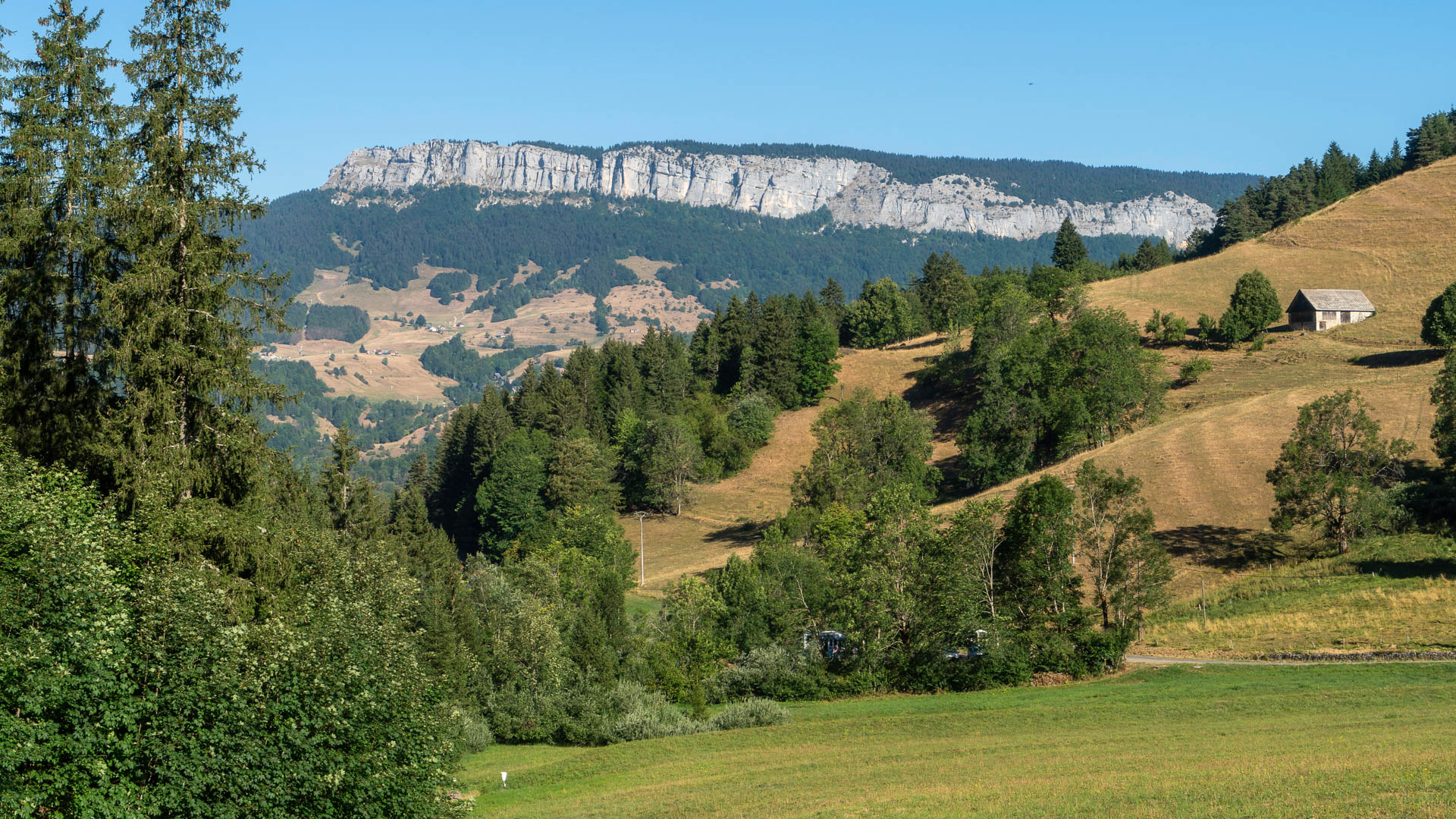 Les prairies paisibles de la Chartreuse, au fond le Mont Outheran