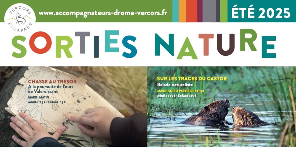 affiche sorties nature de l'été dans le Diois Vercors