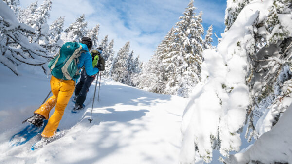 raquettes dans le Vercors en direction de la Molière