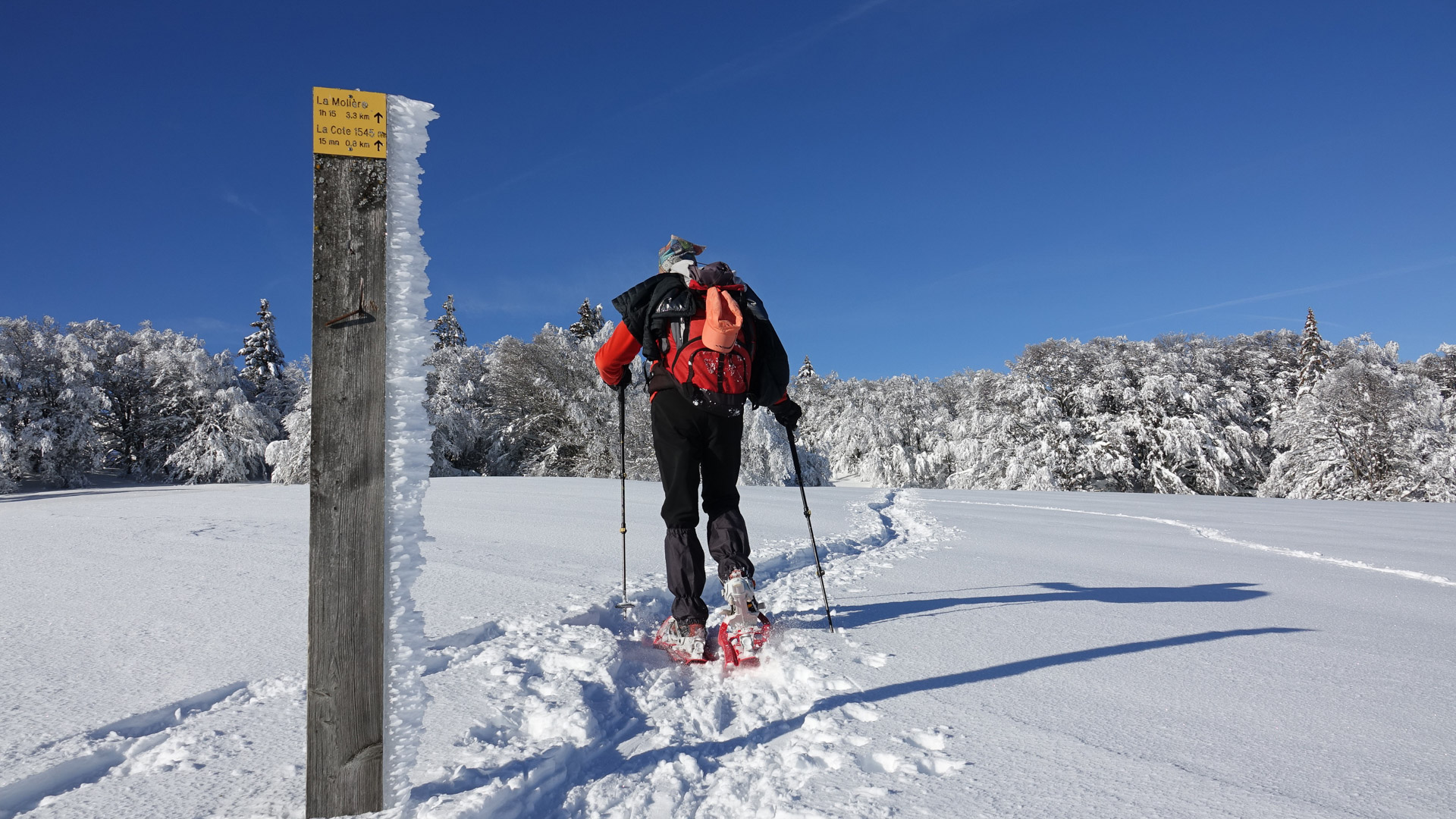 Randonnée raquettes en dans le massif du Vercors a