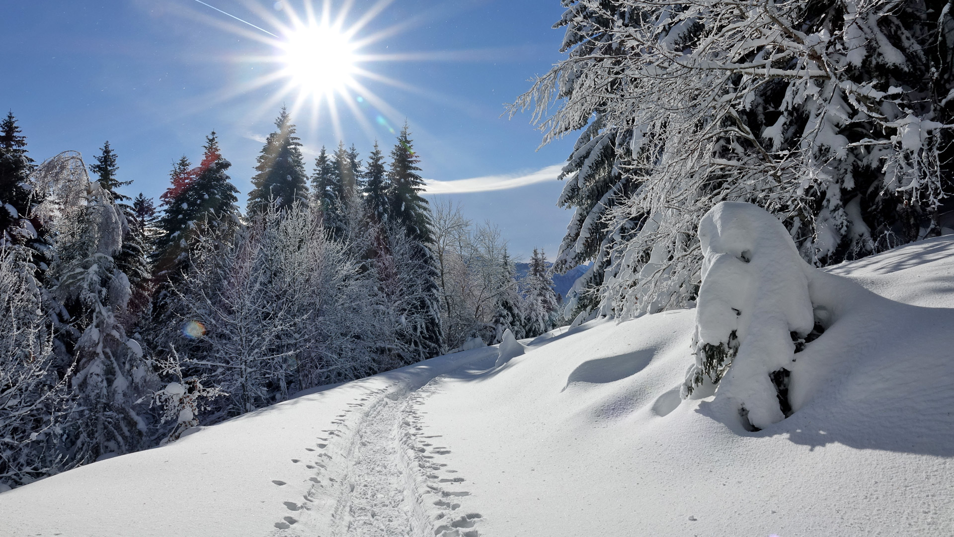 Trace de raquettes dans le Vercors