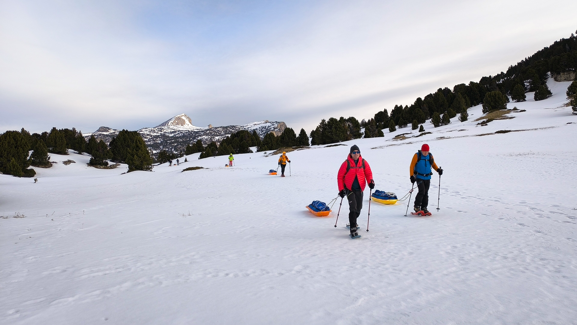 en pulka sur le Vercors en hiver