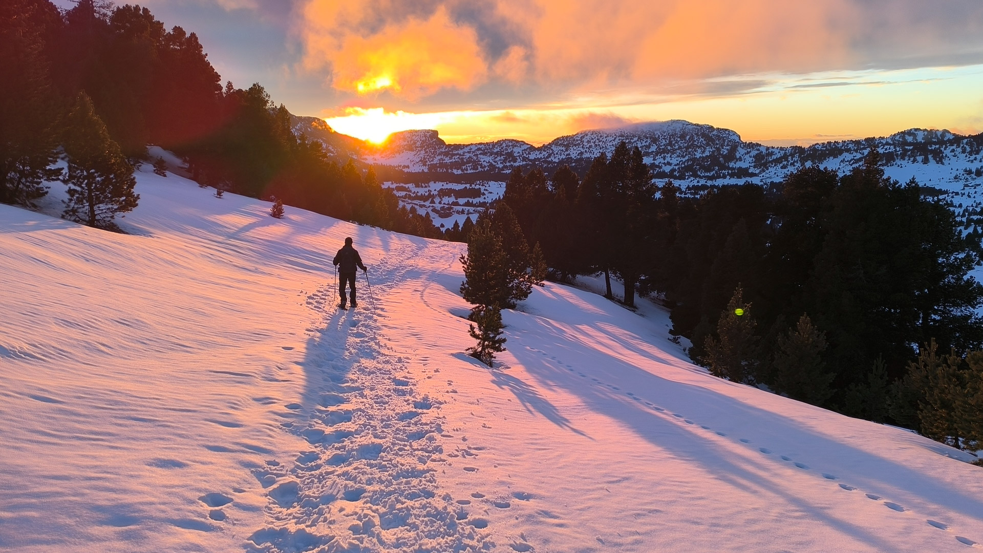 lumière chaude du soir sur les hauts-plateaux du Vercors