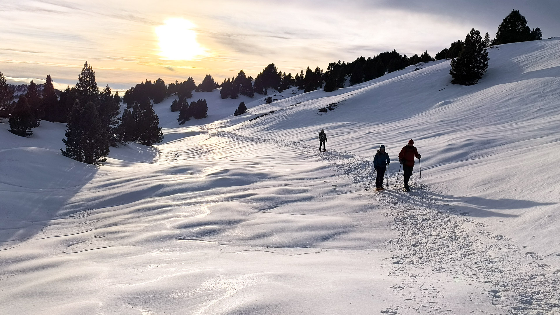 balade à pied dans la neige dans la réserve naturelle du Vercors