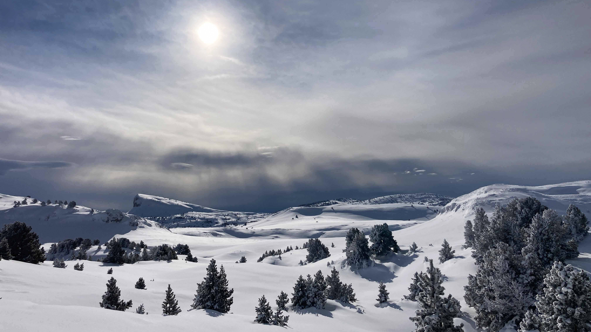 ambiance ciel voilé sur les hauts-plateaux du Vercors enneigés