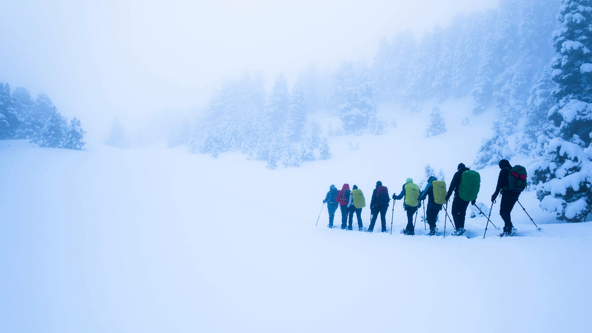 randonneurs en raquettes dans le brouillard sur le plateau du Vercors