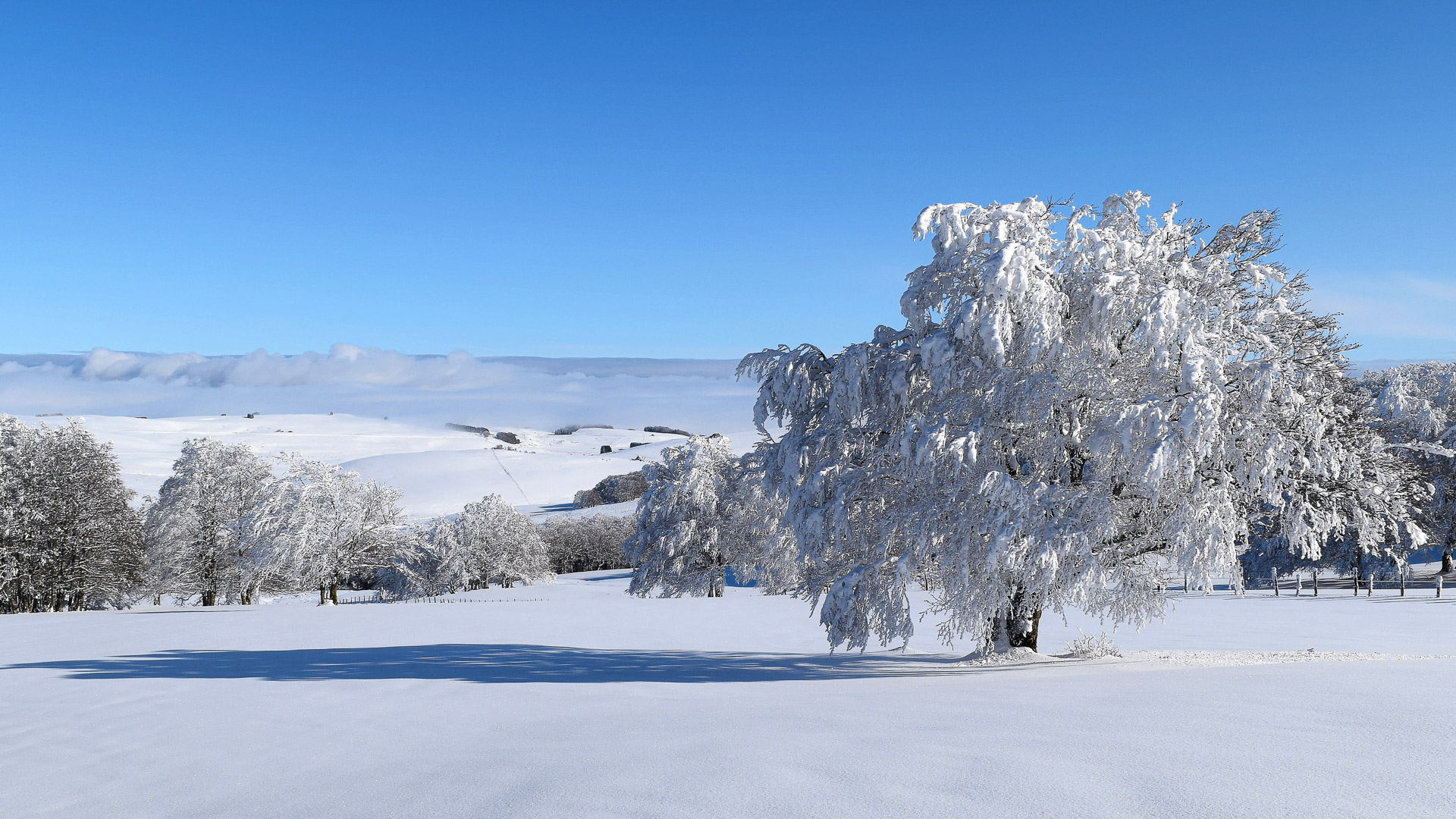 Paysage enneigé en Aubrac, Massif Central