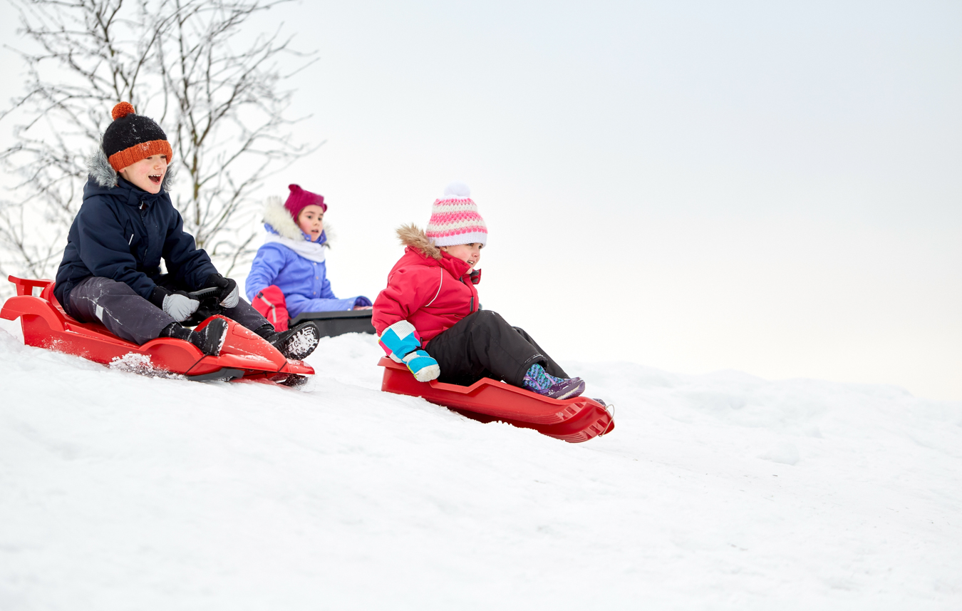 activité luge, vacances nature en Aubrac
