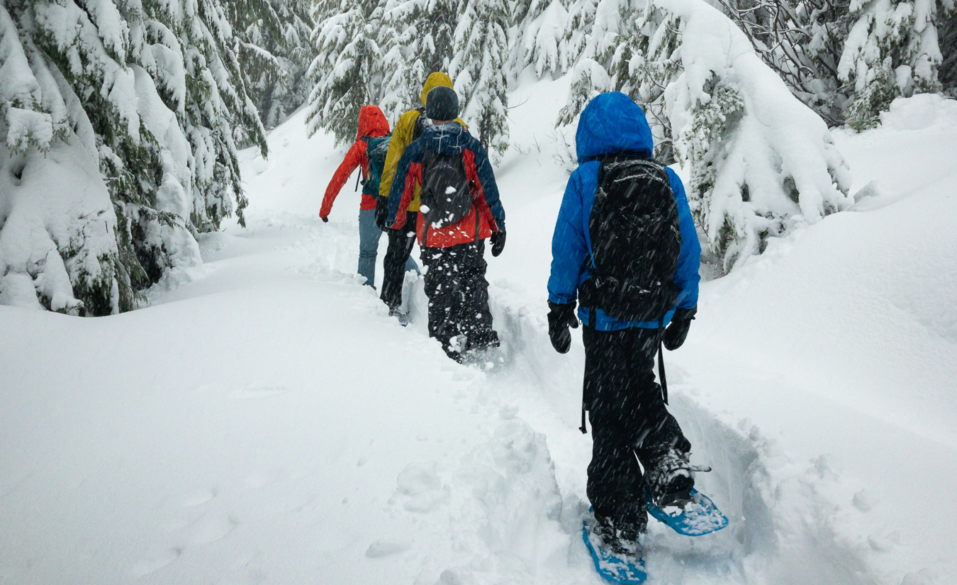 randonnée raquettes dans le Massif Central