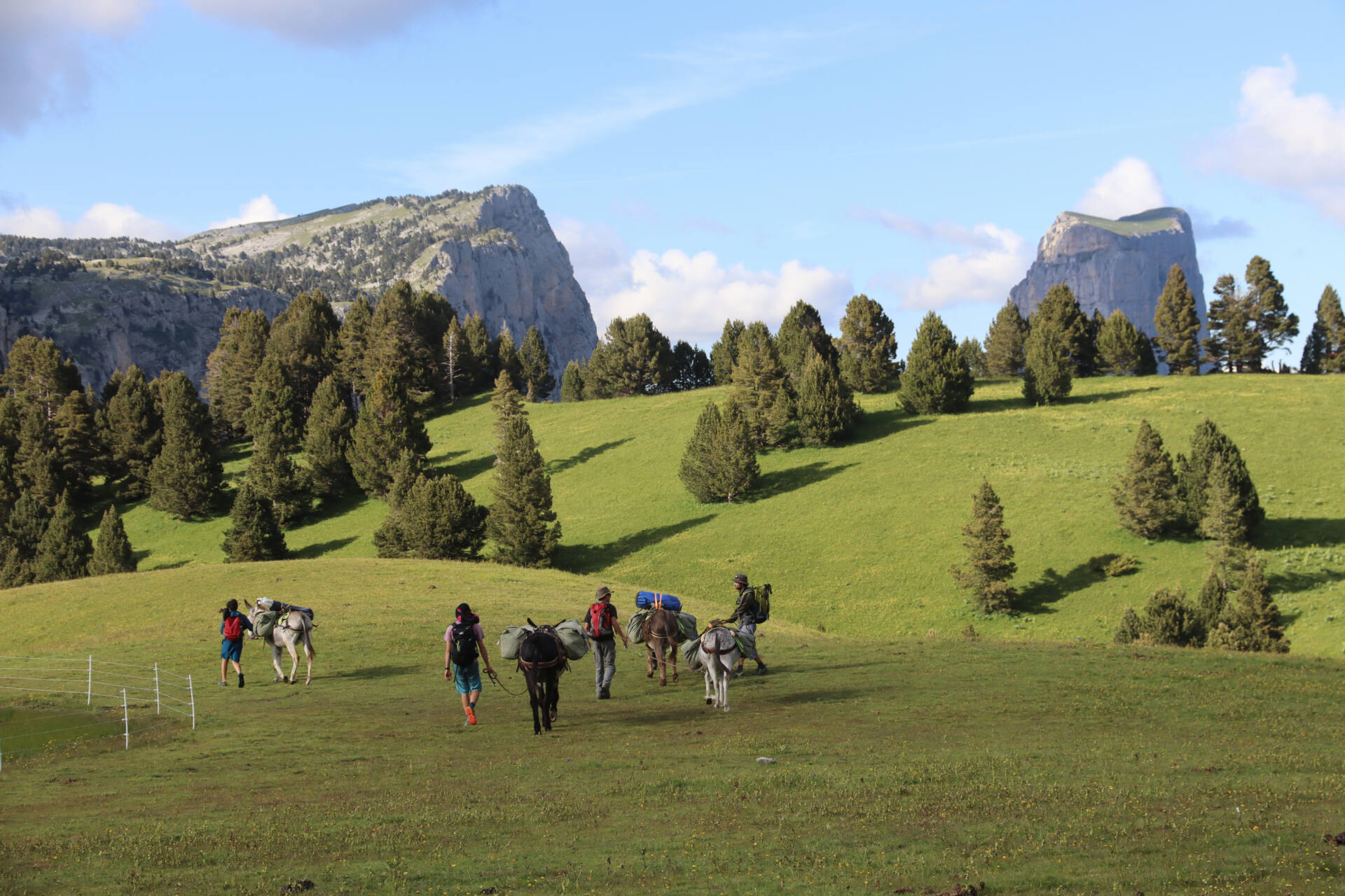randonnée avec les ânes sur les hauts-plateaux du Vercors