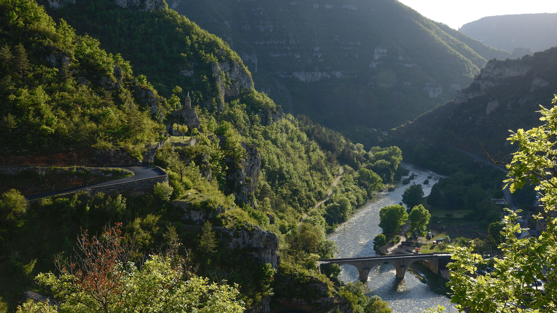 Paysage verdoyant des Cévennes