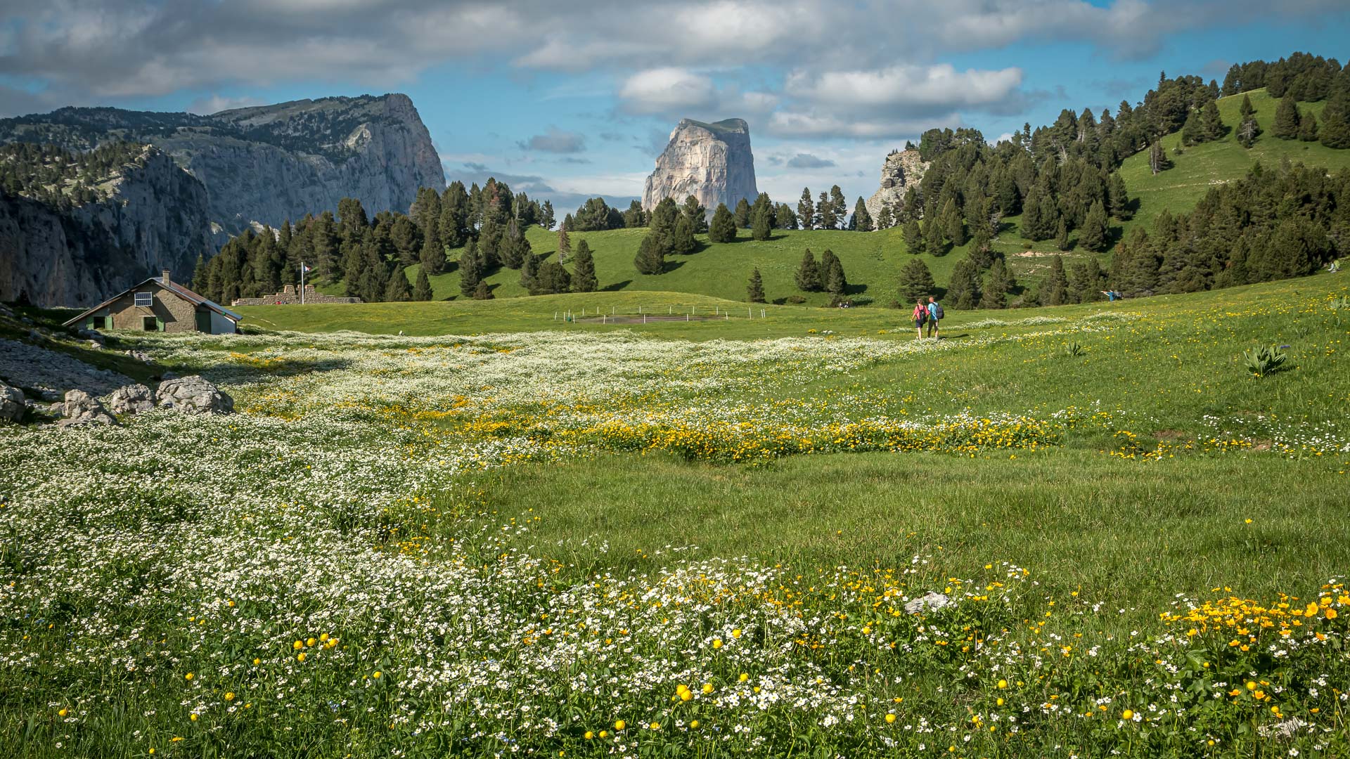 randonneurs devant le Mont Aiguille à Chaumailloux