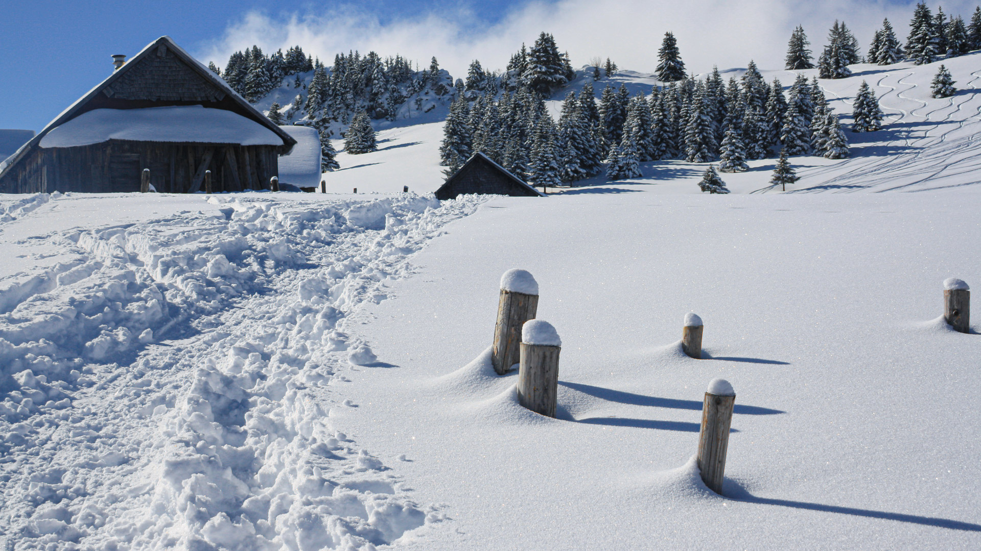 raquettes dans le Chablais