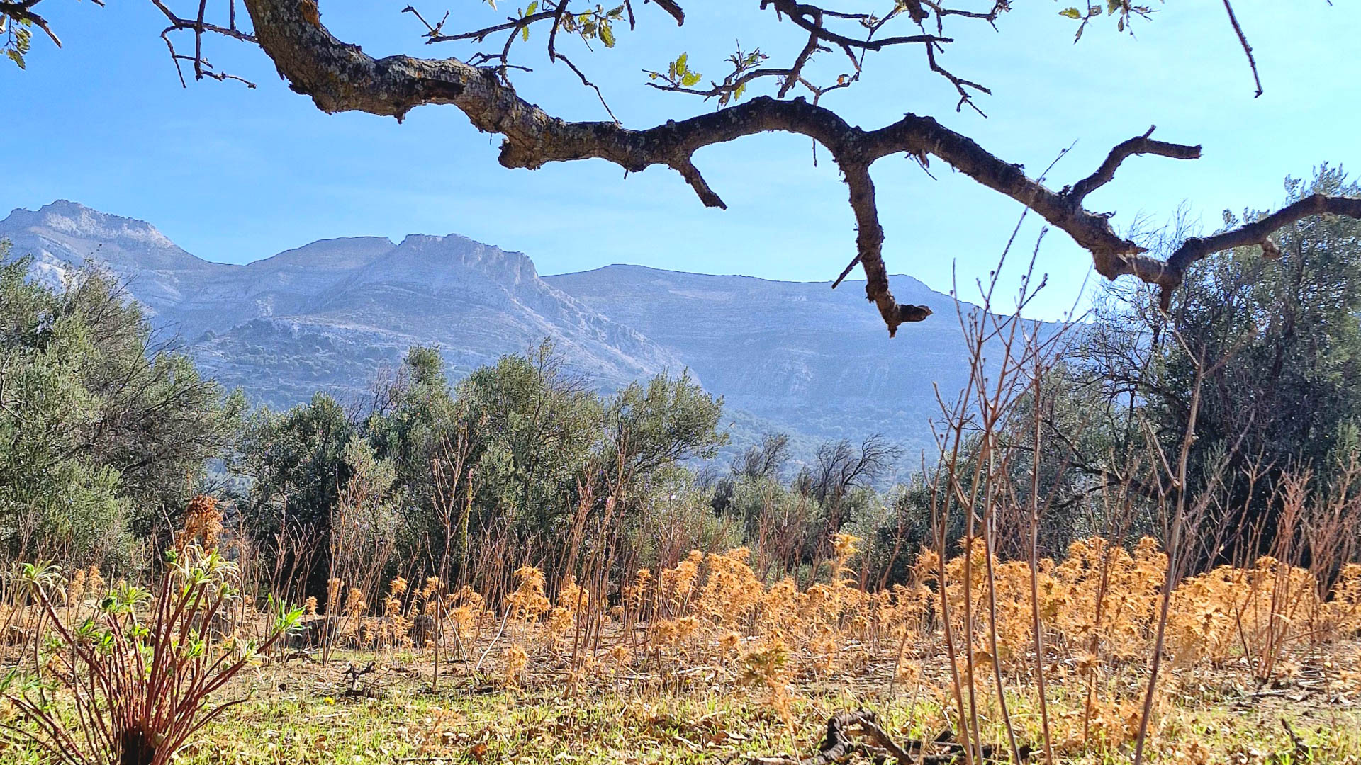 paysage de montagne sur l'île de Naxos