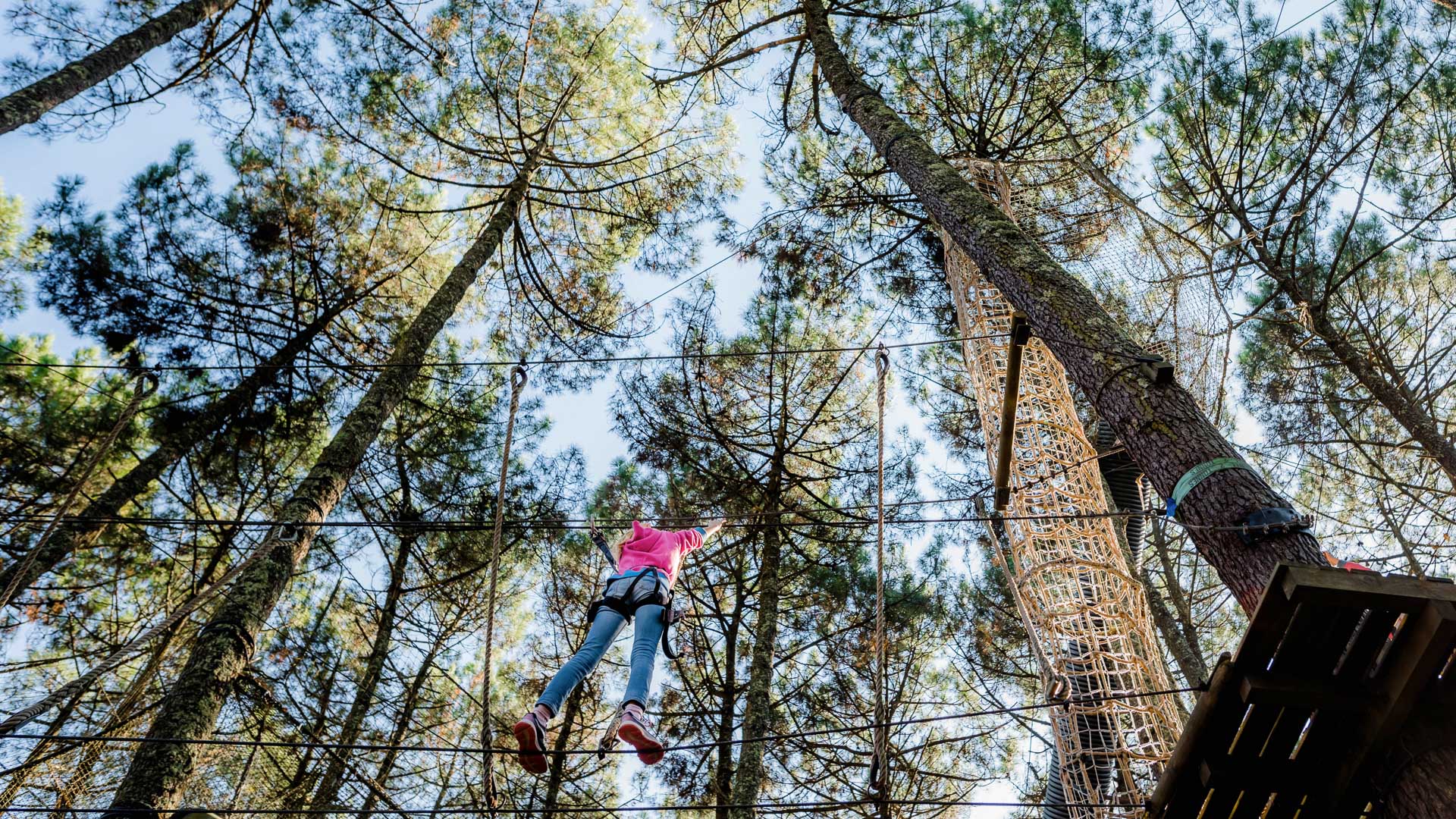accrobranches dans le Mercantour