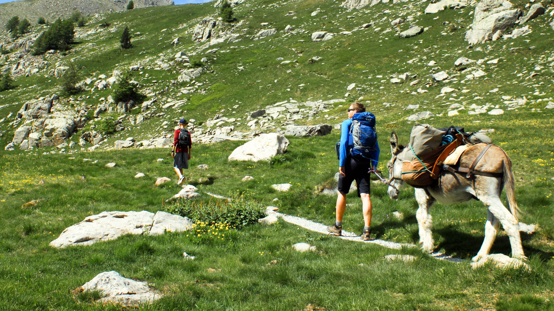 rando en famille dans le Mercantour avec des ânes