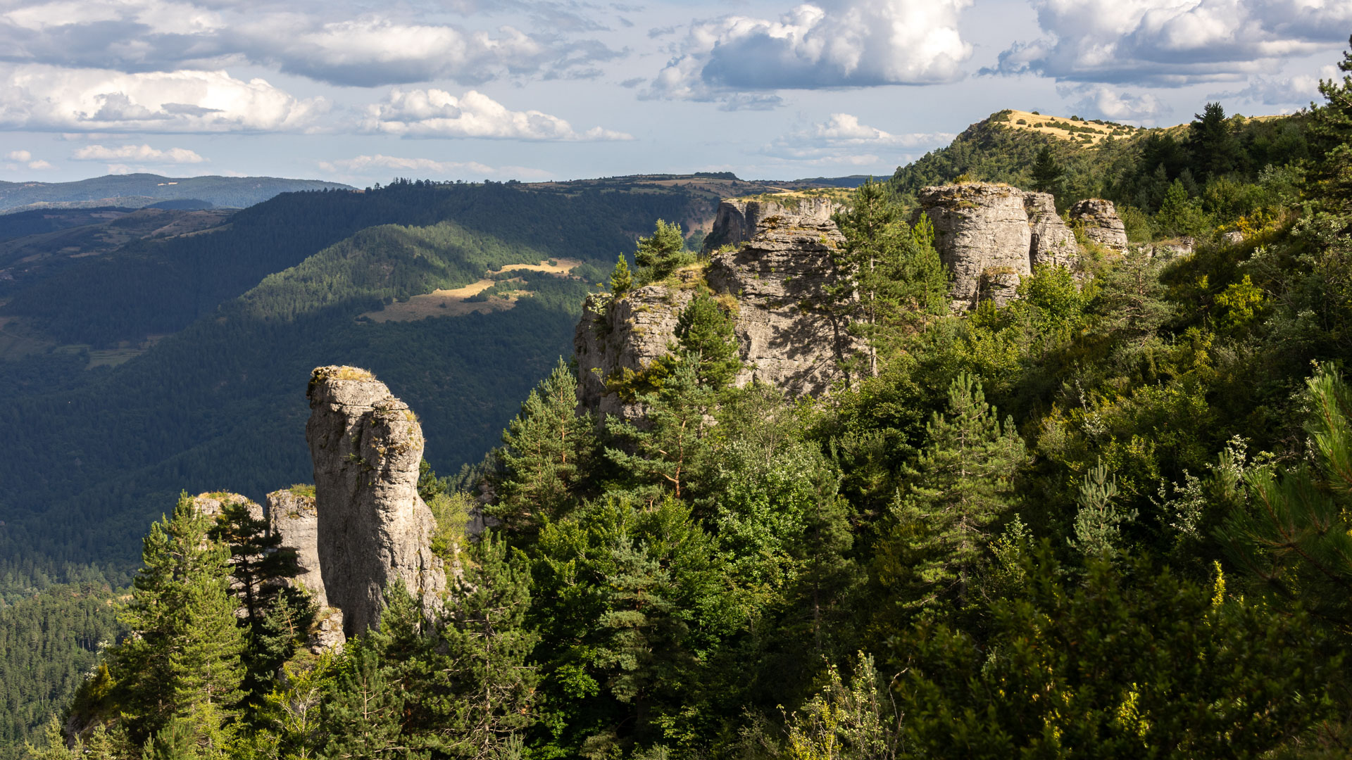 Rochers du causse Méjean dans les gorges du Tarn