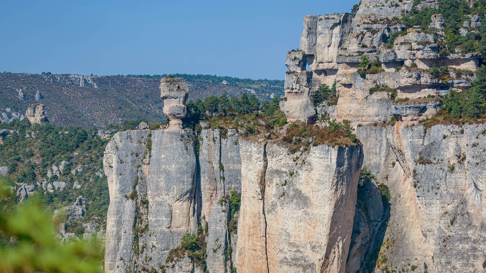 Formation rocheuse, le fameux vase de Chine des gorges de la Jonte