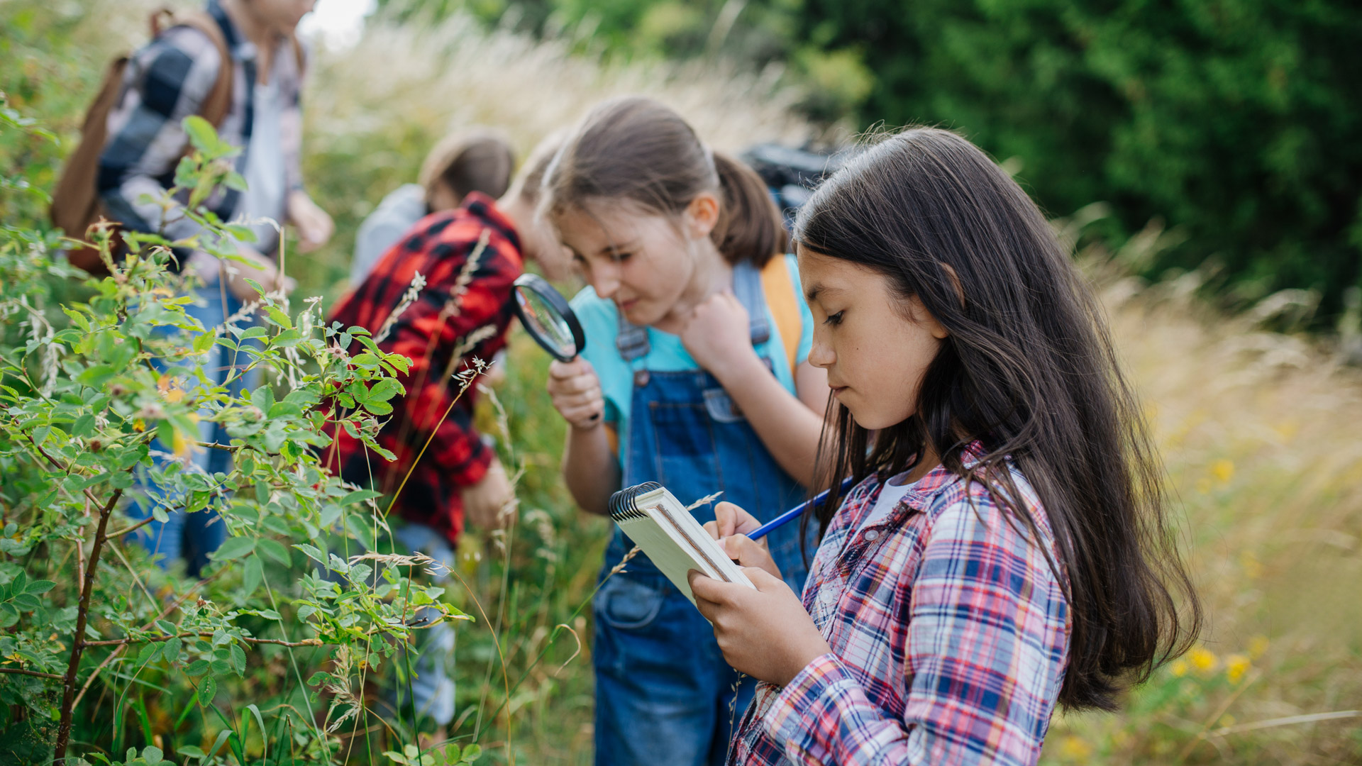 Des enfants observent la biodiversité de l'Auvergne pendant un séjour famille