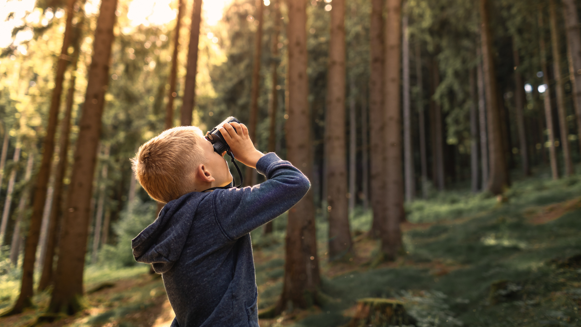 Observation avec des jumelles pour repérer les oiseaux dans les forêts