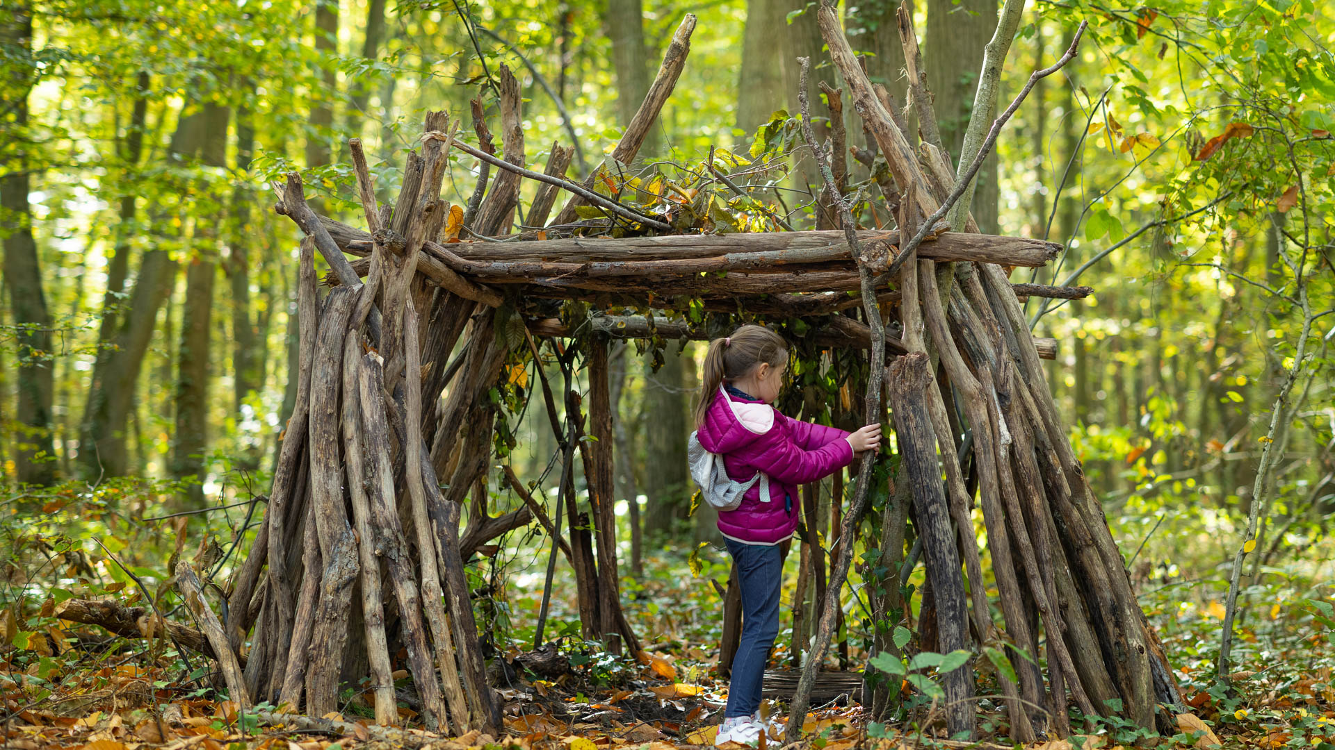 construction d'un cabane lors d'un atelier bushcraft et survie en Auvergne avec des enfants