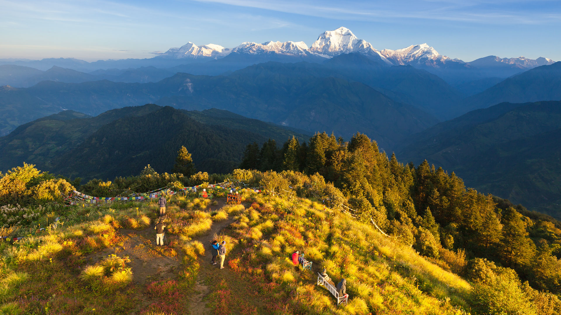La colline de Poon Hill sur le trek du balcon des Annapurna avec vue sur le Dhaulagiri