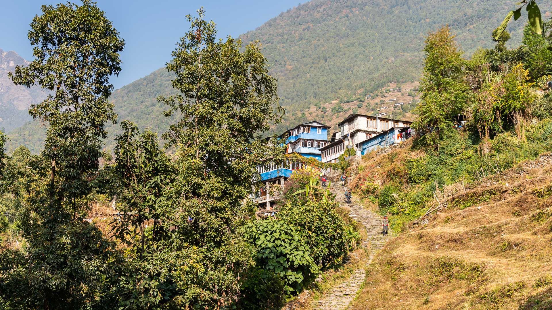 Un village et son bel escalier de pierres vers Ulleri sur le trek des bacons des Annapurnas