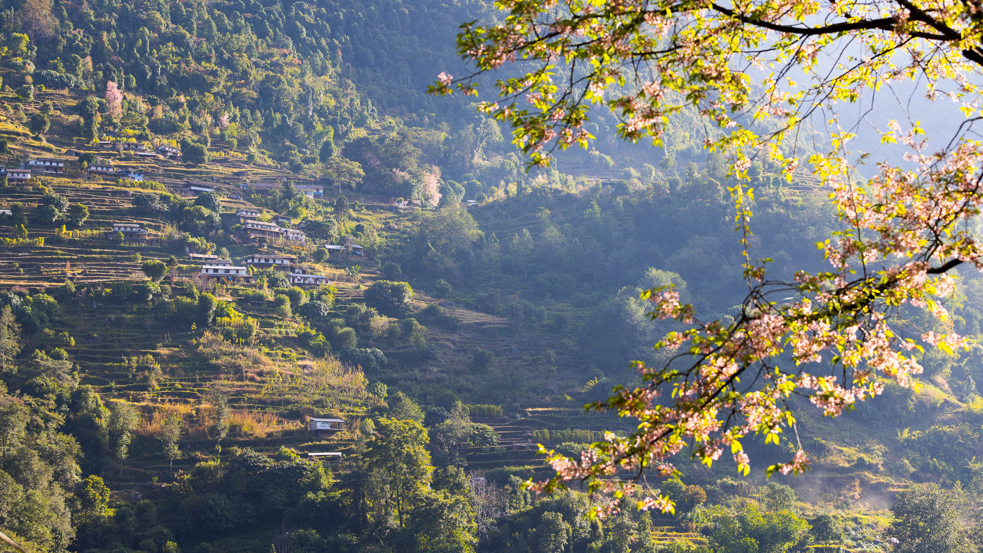 village et champs en terrasses dans le massif des Annapurnas, proches de Birethanti