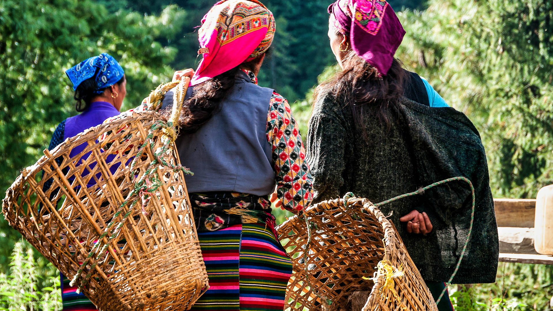 Femmes revenant des champs avec leur