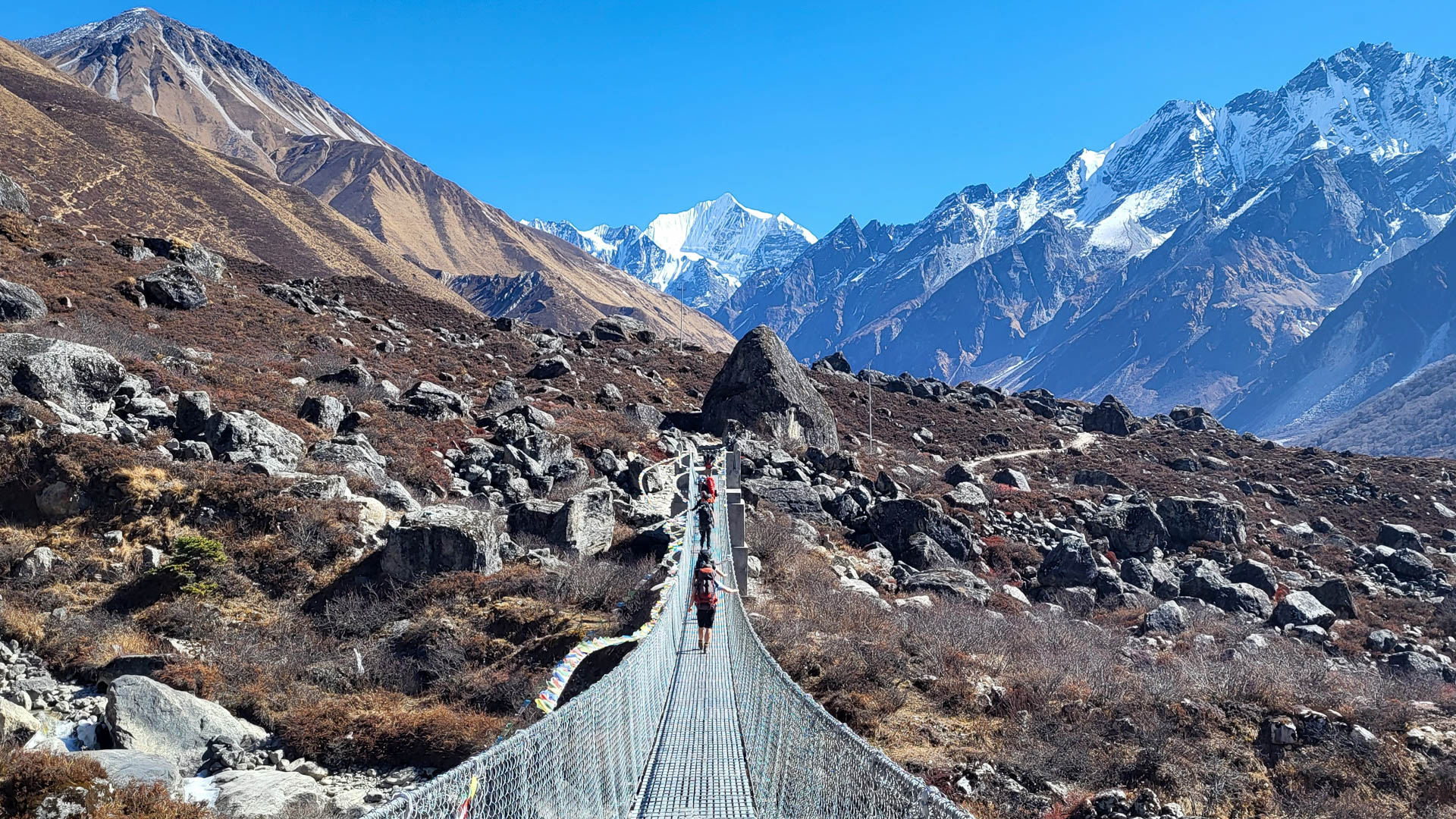 Pont suspendu sur le trek du Langtang