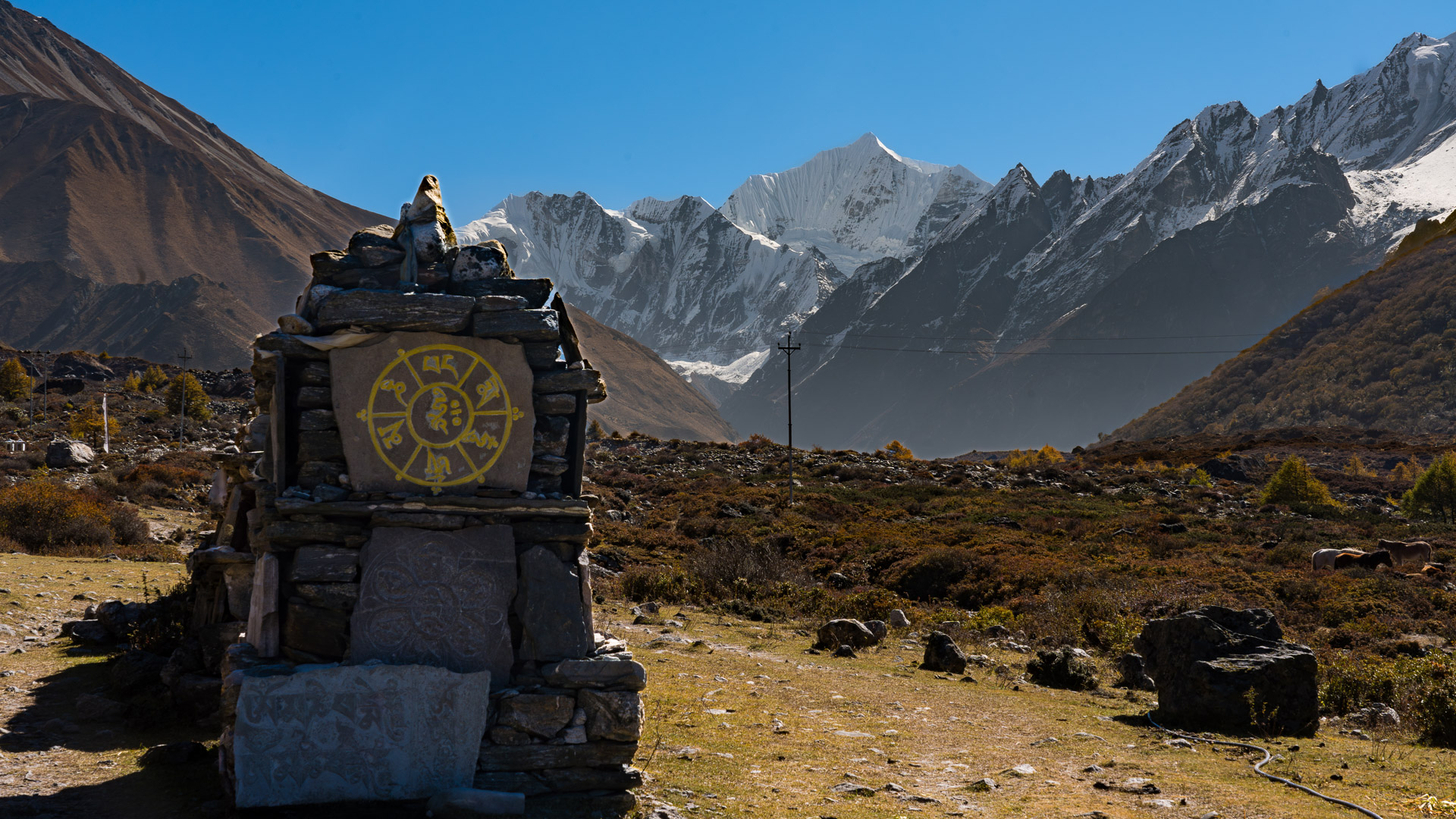 Mur de mani le long du trek du Langtang au Népal